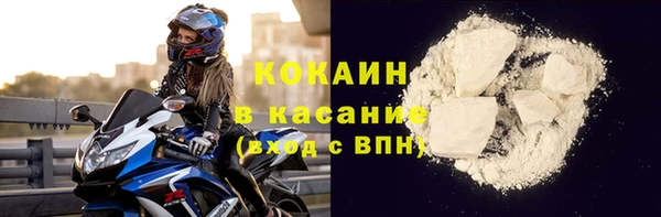 шишки Бронницы