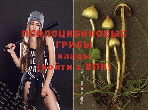 шишки Бронницы