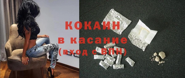 шишки Бронницы