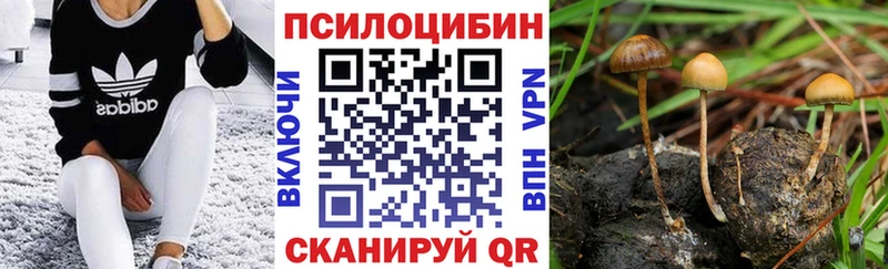 даркнет сайт  Верхний Тагил  Псилоцибиновые грибы Psilocybe 