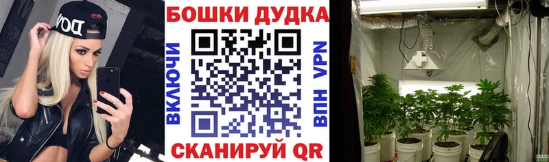 МЕГА как зайти Верхний Тагил Шишки марихуана планчик